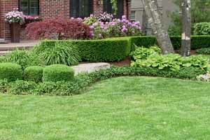 residential landscaping