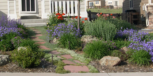 Xeriscaping